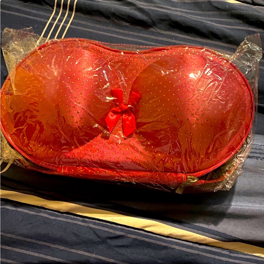 Women’s Bra Travel Case